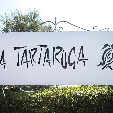 Apartment In Monte Petrosu With Terrace San Teodoro (Sardinia)